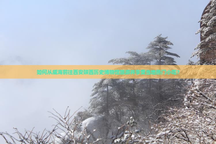 如何从威海前往西安陕西历史博物馆旅游并享受当地热门小吃？