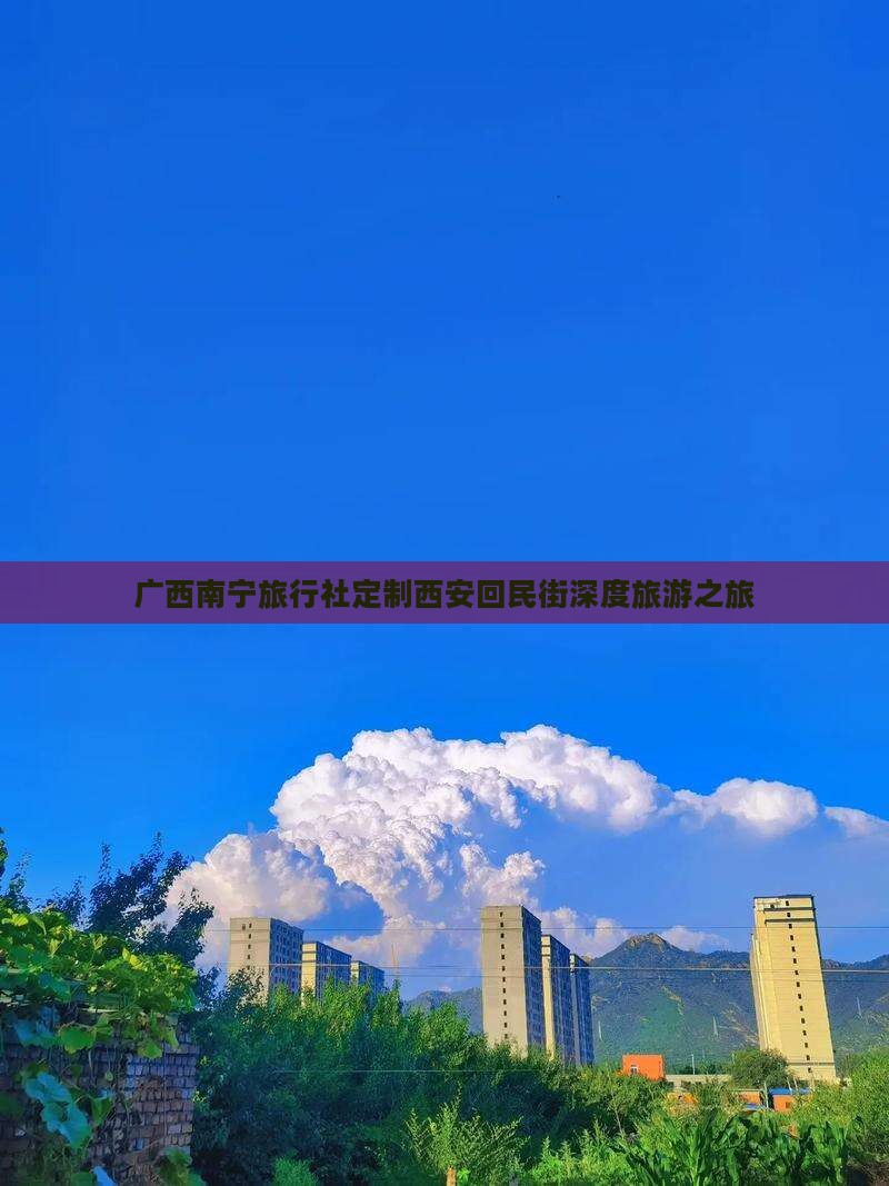 广西南宁旅行社定制西安回民街深度旅游之旅