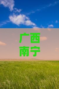 广西南宁旅行社定制西安回民街深度旅游之旅