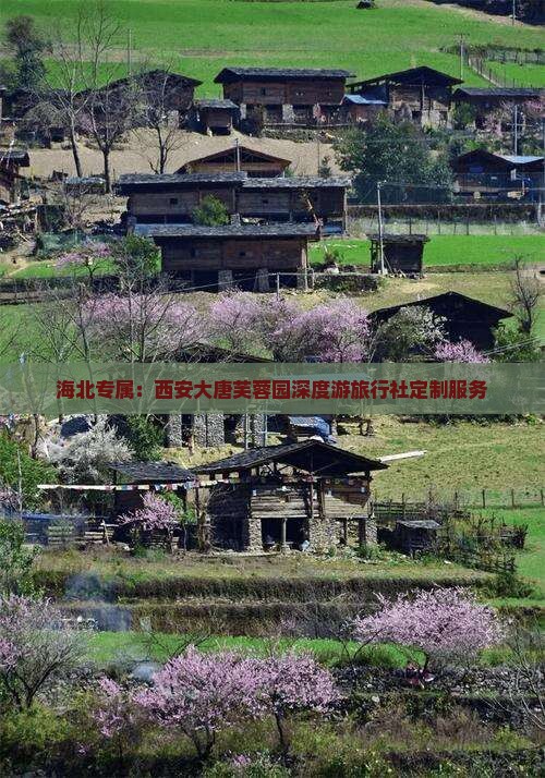 海北专属：西安大唐芙蓉园深度游旅行社定制服务