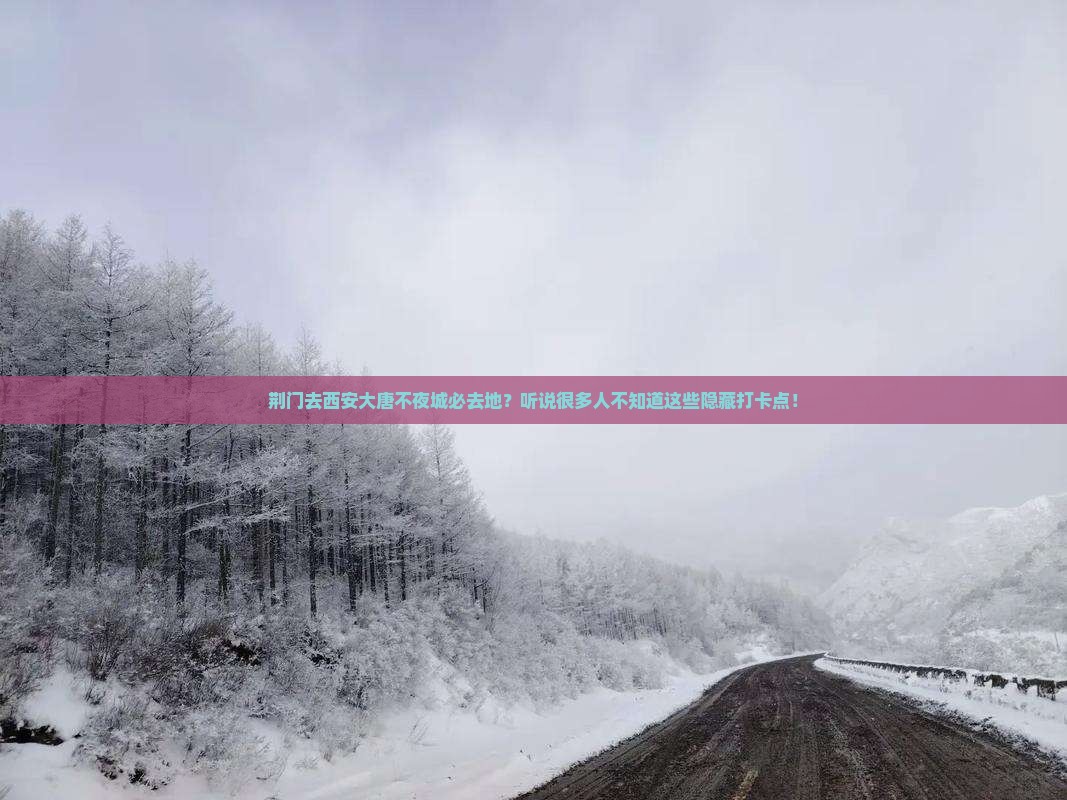 荆门去西安大唐不夜城必去地？听说很多人不知道这些隐藏打卡点！