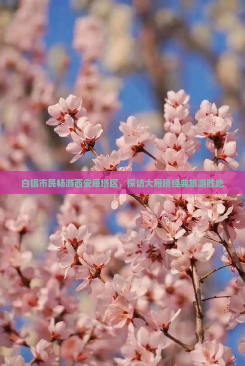 白银市民畅游西安雁塔区，探访大雁塔经典旅游胜地