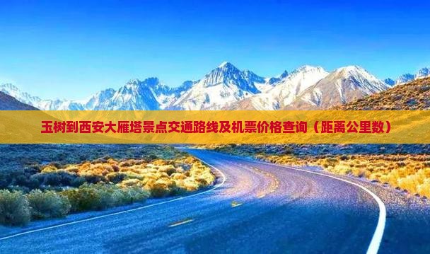 玉树到西安大雁塔景点交通路线及机票价格查询（距离公里数）