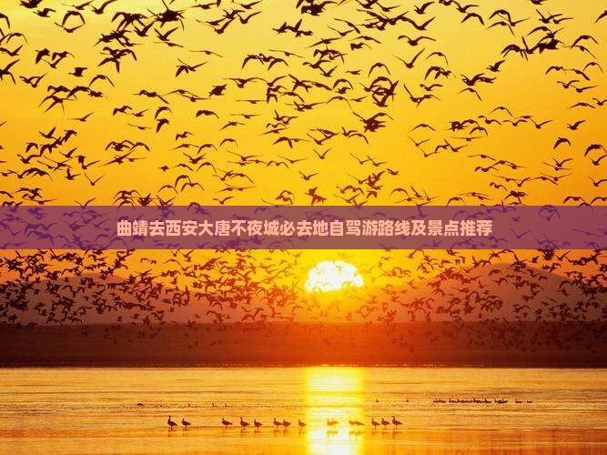 曲靖去西安大唐不夜城必去地自驾游路线及景点推荐