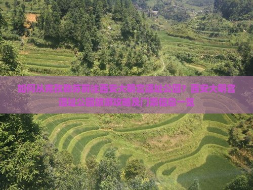 如何从克孜勒苏前往西安大明宫遗址公园？西安大明宫遗址公园旅游攻略及门票信息一览
