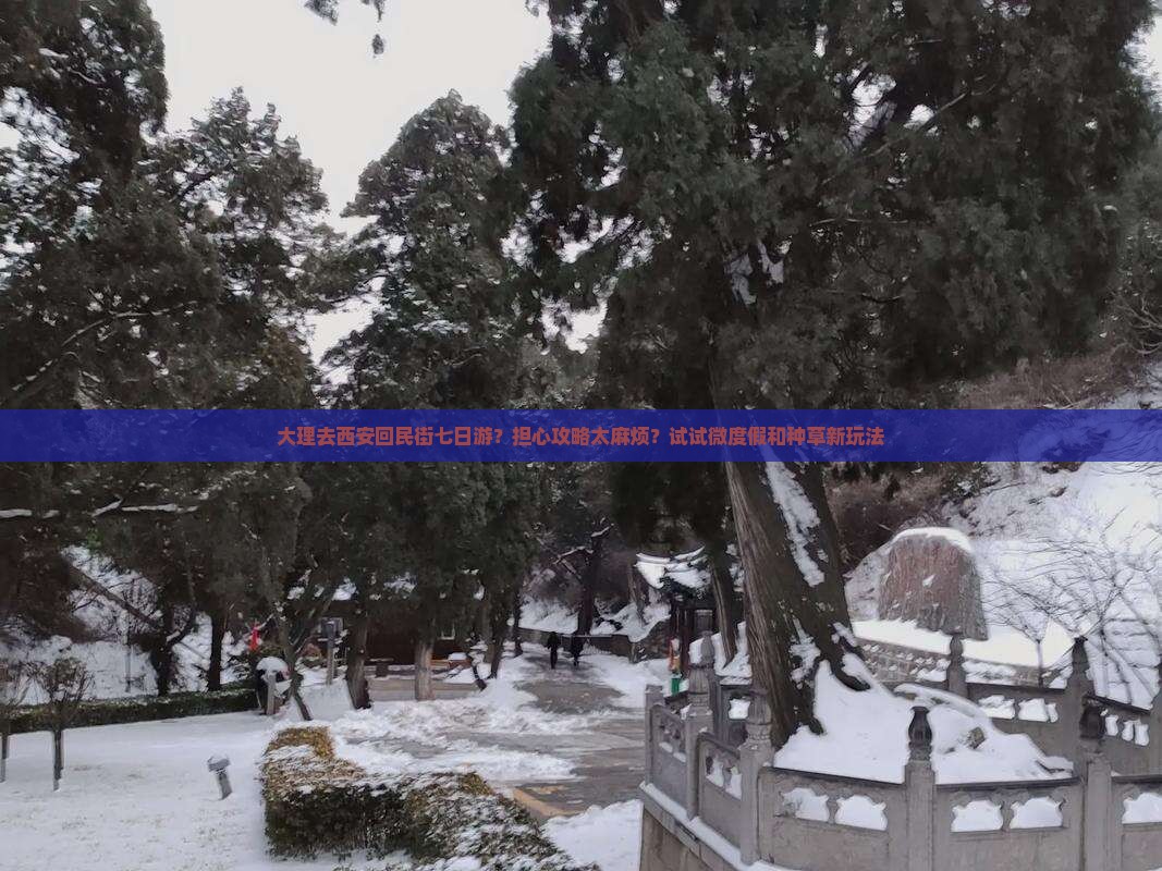 大理去西安回民街七日游？担心攻略太麻烦？试试微度假和种草新玩法