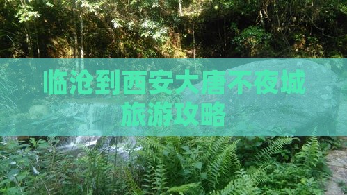 临沧到西安大唐不夜城旅游攻略