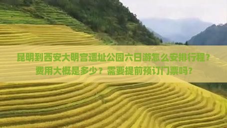 昆明到西安大明宫遗址公园六日游怎么安排行程？费用大概是多少？需要提前预订门票吗？