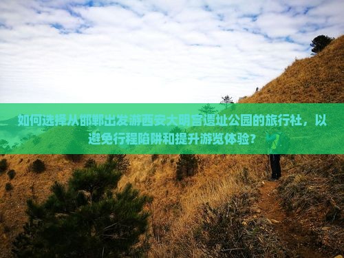 如何选择从邯郸出发游西安大明宫遗址公园的旅行社，以避免行程陷阱和提升游览体验？