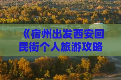 《宿州出发西安回民街个人旅游攻略》