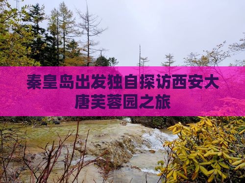 秦皇岛出发独自探访西安大唐芙蓉园之旅