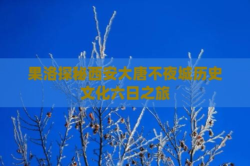果洛探秘西安大唐不夜城历史文化六日之旅