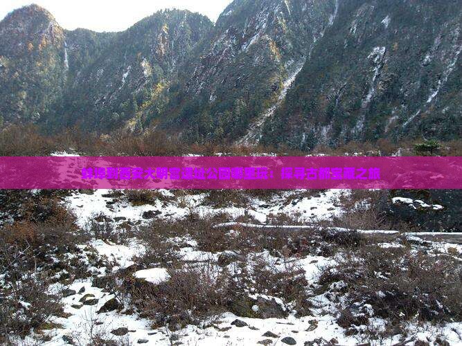 蚌埠到西安大明宫遗址公园哪里玩：探寻古都宝藏之旅