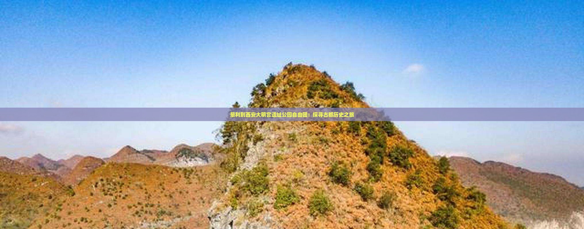 垦利到西安大明宫遗址公园自由团：探寻古都历史之旅
