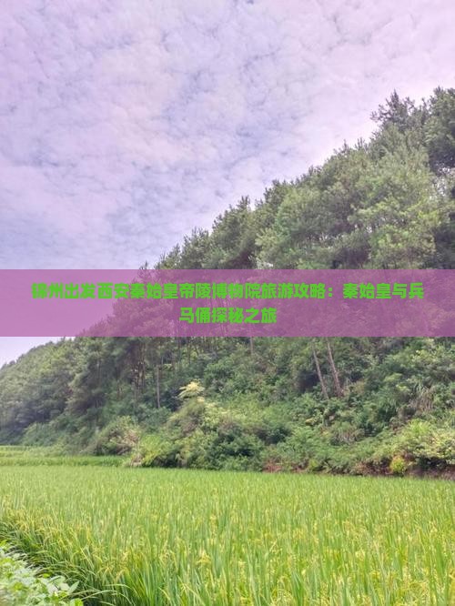 锦州出发西安秦始皇帝陵博物院旅游攻略：秦始皇与兵马俑探秘之旅