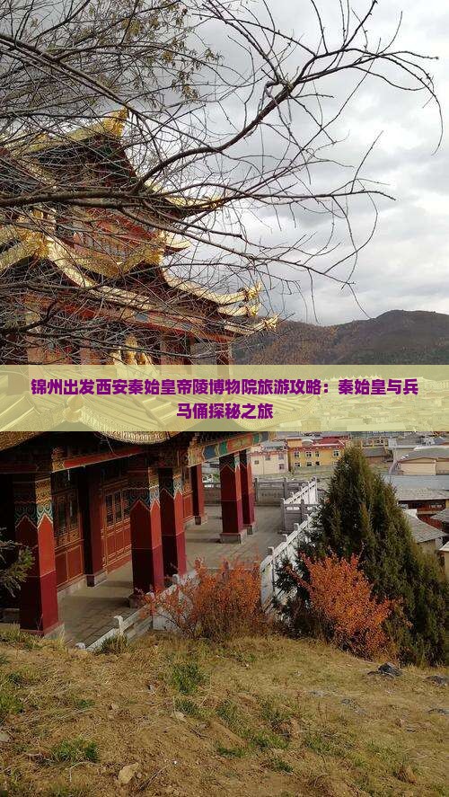 锦州出发西安秦始皇帝陵博物院旅游攻略：秦始皇与兵马俑探秘之旅