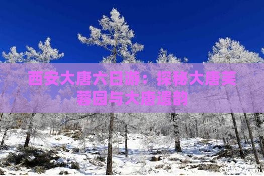 西安大唐六日游：探秘大唐芙蓉园与大唐遗韵