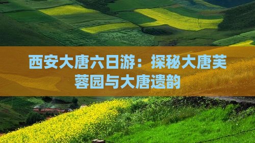 西安大唐六日游：探秘大唐芙蓉园与大唐遗韵