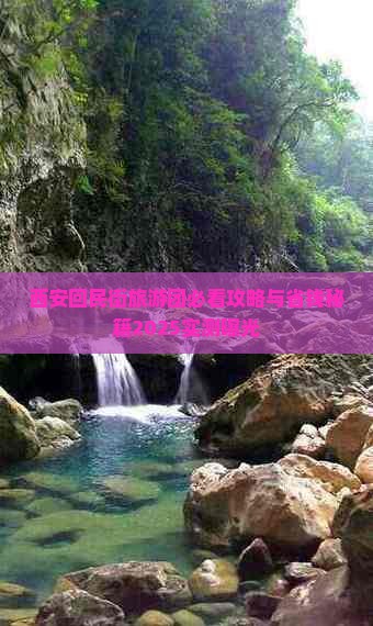 丽水去西安回民街大型旅游团