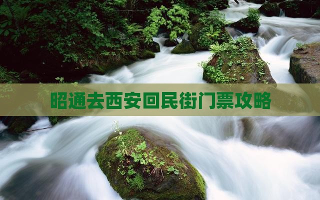 昭通去西安回民街门票