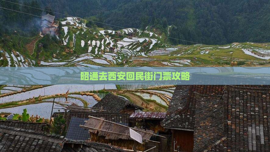 昭通去西安回民街门票