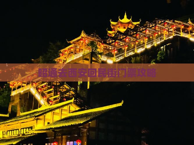 昭通去西安回民街门票