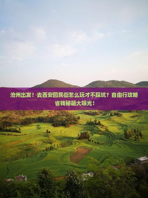 沧州到西安回民街自由行