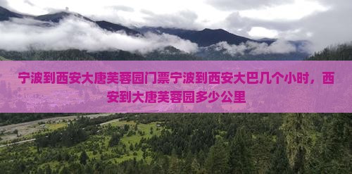宁波到西安大唐芙蓉园门票