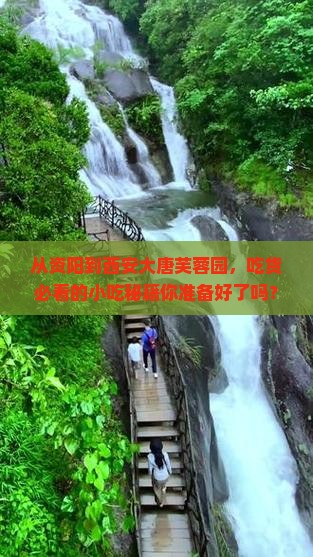 资阳到西安大唐芙蓉园旅游小吃