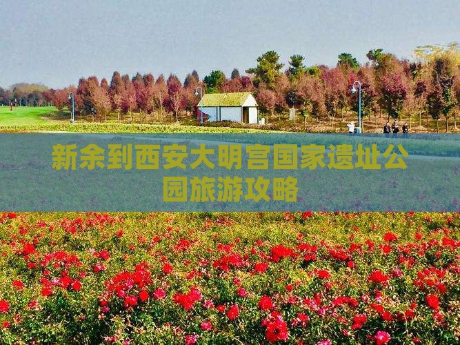 新余到西安大明宫国家遗址公园旅游