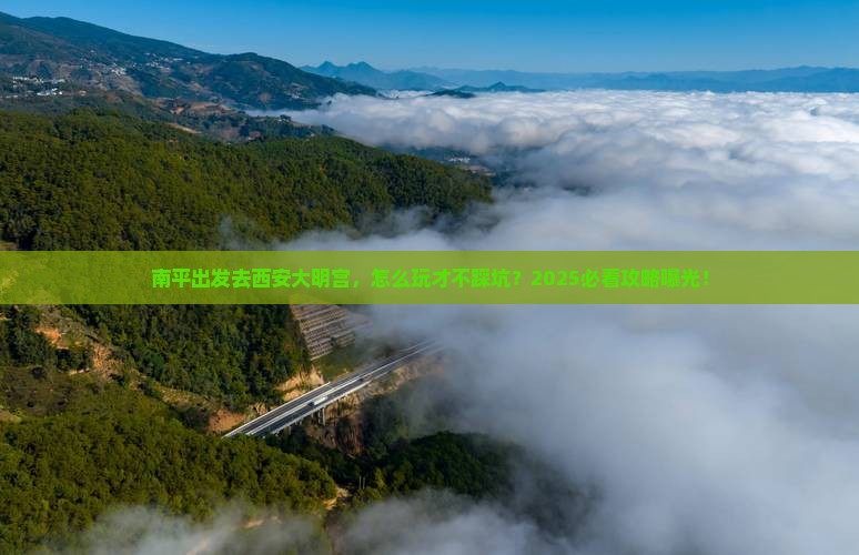 南平到西安大明宫国家遗址公园旅游