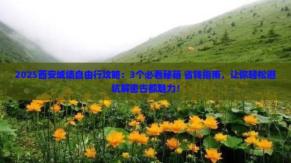 上海去西安城墙自由行