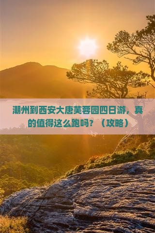 潮州到西安大唐芙蓉园四日游