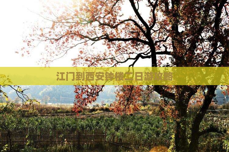 江门到西安钟楼二日游