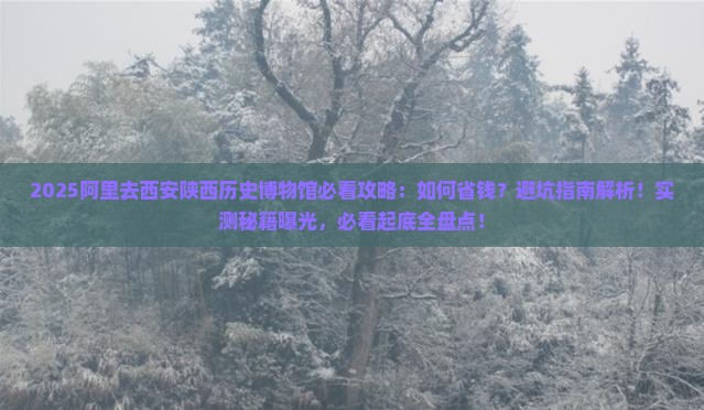阿里去西安陕西历史博物馆攻略