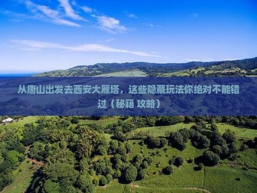 唐山去西安大雁塔哪里玩