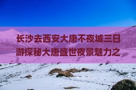 长沙去西安大唐不夜城三日游