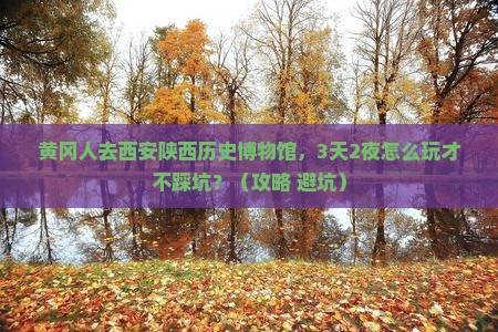 黄冈去西安陕西历史博物馆攻略