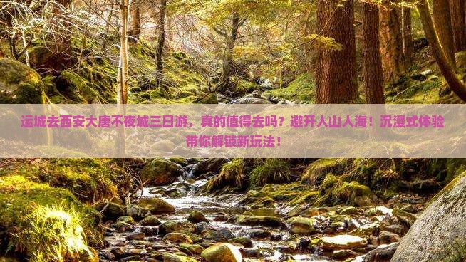运城去西安大唐不夜城三日游