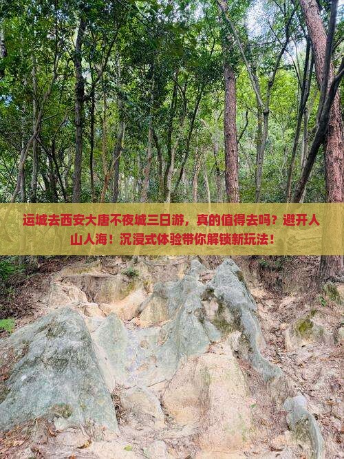 运城去西安大唐不夜城三日游