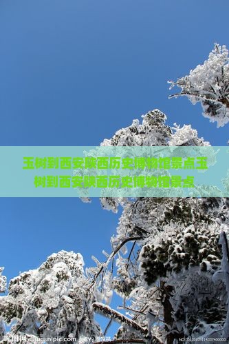 玉树到西安陕西历史博物馆景点