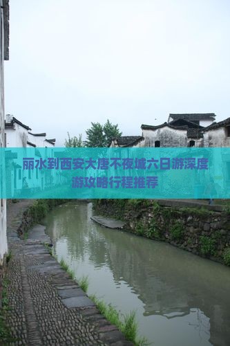 丽水到西安大唐不夜城六日游
