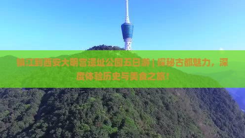 镇江到西安大明宫国家遗址公园五日游