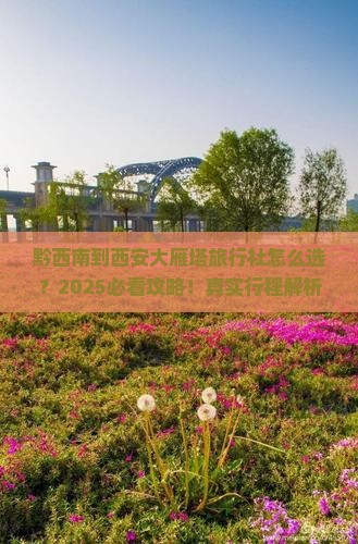 黔西南到西安大雁塔旅行社
