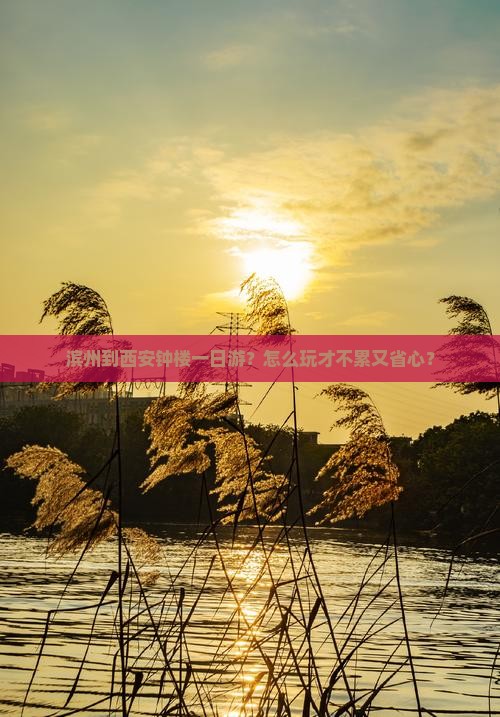 滨州到西安钟楼一日游