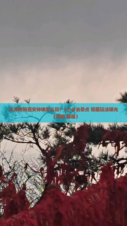 漳州去西安钟楼哪里玩
