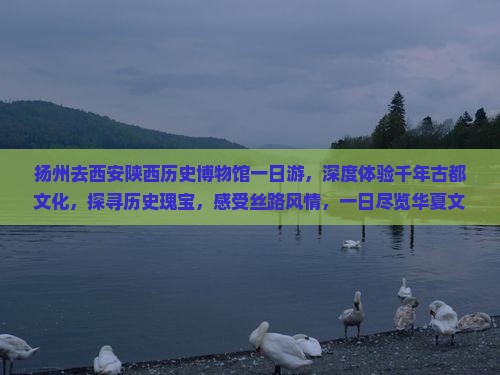 扬州去西安陕西历史博物馆一日游