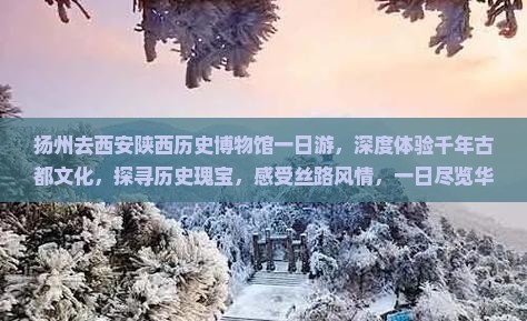 扬州去西安陕西历史博物馆一日游