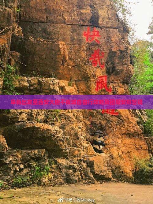 阜新出发至西安大唐不夜城自由行攻略及团期安排答疑