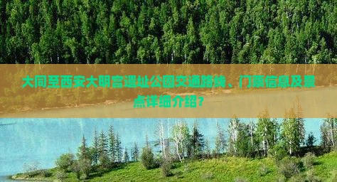 大同至西安大明宫遗址公园交通路线、门票信息及景点详细介绍？